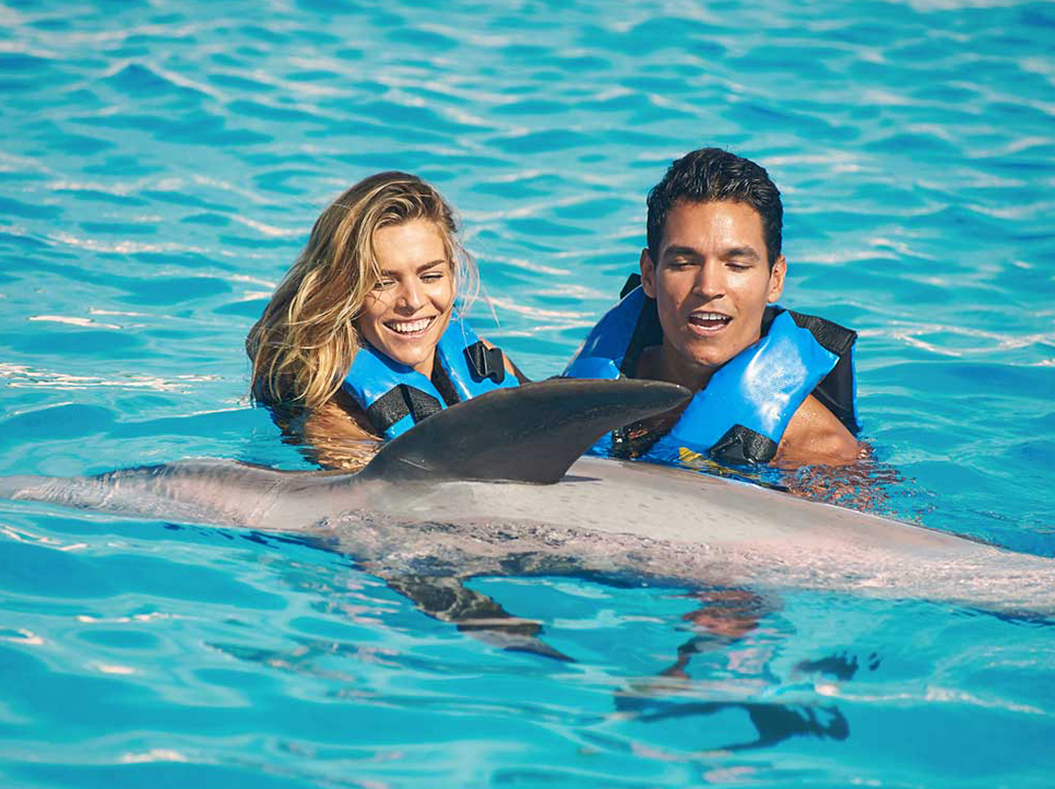 Nado con Delfines en Cancún Isla Mujeres